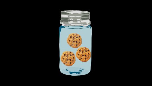 Your mind as a cookie jar. Everything outside of the jar is unknowable.